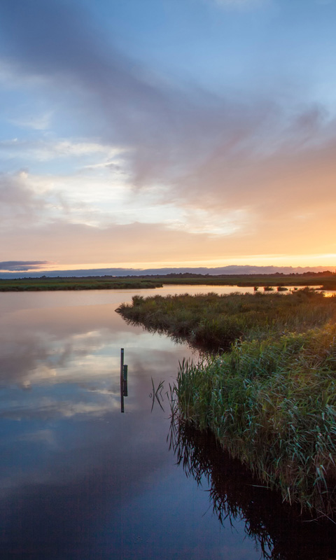 Foto van water in een natuurgebied. LVWB Fundraising Fondsenwerving Natuurbehoud